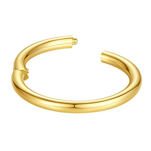 ORANGELOVE Hypoallergenic Nose Rings 20G 18G 16G 14G 12G 10G 8G 316l Surgical Steel Septum Jewelry Hinged Segment Ring Body Piercing Nose Hoop Lip Rings Nose Helix Cartilage Rook Earrings - color: Gold, size: 1pc 12 Gauge 14mm