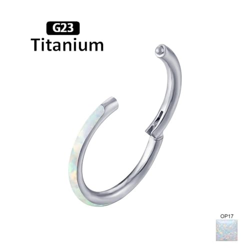 2pc G23 Titanium 6/8/10/12mm Nose Ring Opal Multi Zircon Hoop Hinge Septum Ear Lobe Daith Body Piercing - color: OP17 & Clear Zircon, size: Inner Ring Diameter: 10mm