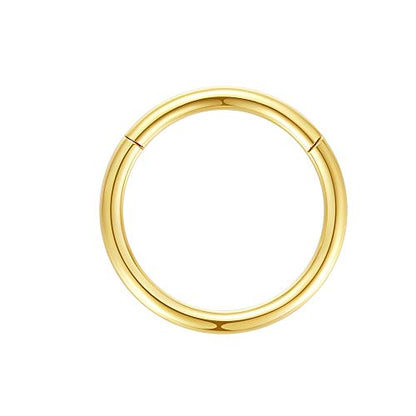 ORANGELOVE Hypoallergenic Nose Rings 20G 18G 16G 14G 12G 10G 8G 316l Surgical Steel Septum Jewelry Hinged Segment Ring Body Piercing Nose Hoop Lip Rings Nose Helix Cartilage Rook Earrings - color: Gold, size: 1pc 14 Gauge 13mm