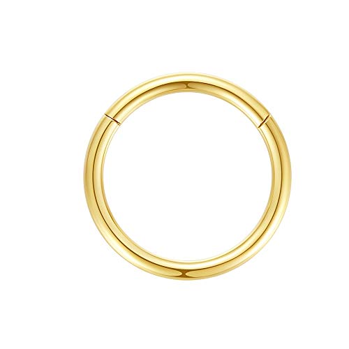 ORANGELOVE Hypoallergenic Nose Rings 20G 18G 16G 14G 12G 10G 8G 316l Surgical Steel Septum Jewelry Hinged Segment Ring Body Piercing Nose Hoop Lip Rings Nose Helix Cartilage Rook Earrings - color: Gold, size: 1pc 14 Gauge 12mm