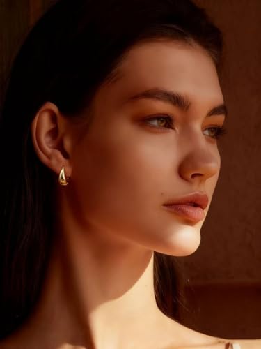 Chunky Small Hoop Earrings for Women 14mm/16mm/19mm Stainless Steel Huggie Earrings Everyday Jewelry Gift for Wife Mom, with Gift Box - color: Gold 16mm