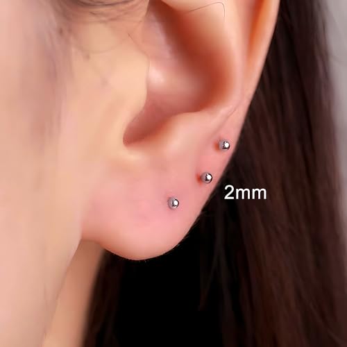15 Pairs Surgical Steel Ball Stud Earrings Set | Fadeless, PVD Plating, Stainless Steel, Fadeless, Waterproof, High Polish, Hypoallergenic - color: Silver 16Pairs (2mm 3mm )