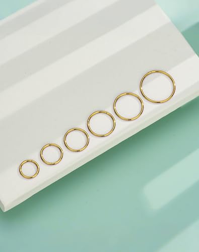 316L Stainless Steel Hoop Earrings, Hinged Segment Earrings Hoop, Cartilage Helix Conch Daith Septum Earrings Hoops - color: Gold, size: 1.2*5mm