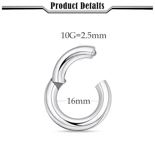 20G-2G Hinged Clicker Septum Nose Rings Hoops 316L Surgical Steel Segment Septum Lip Nipple Ring Cartilage Tragus Helix Sleeper Earrings Piercing Jewelry for Women Men 6mm-19mm - style: 10G(2.5mm)-Dia:16mm