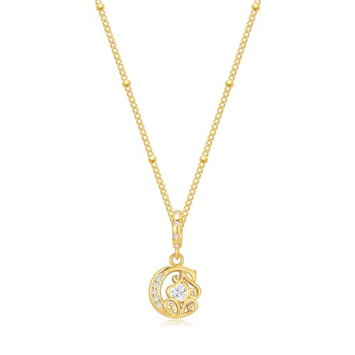TIZU Initial Necklaces for Women - Dainty 14K Gold Plated Letter Pendant Trendy Personalized Initial A-Z Necklaces Jewelry Gift - color: Gold-C