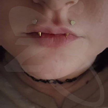 ZS 2 Pairs Stainless Steel Eyebrow Rings, 16G Curved Belly Rings Navel Barbell Helix Daith Tragus Earrings, 8/10mm Spike Vertical Labret Lip Piercing Jewelry - color: Gold,Cross-L:8/10mm