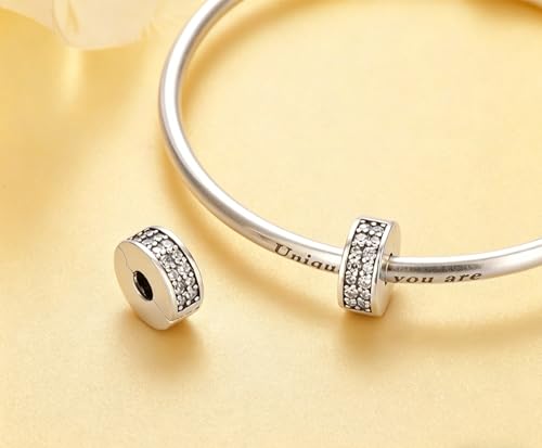 Charms for Bracelets and Necklaces Statue of Liberty CHARM and Family Clasp Safety Chain Charm Beads Charms Jewelry for Women - color: Moments Clear Pavé Clip