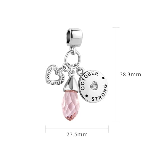 Women Charm for Bracelets Love Heart Dangle Silver Clear CZ Beads Birthstone Bracelet Charms for Daughter Women Wife, Blue Pink Clear - style: OCTOOBER