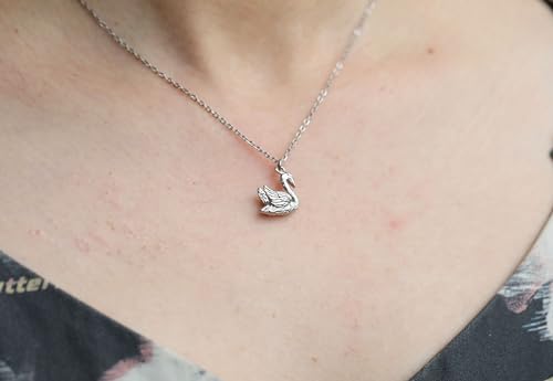 Silver Necklaces for Women Teens, Best Friend Necklace Sister Daughter Gift | Horseshoe Butterfly Swan Wave Evil Eye Necklace Graduation Chritmas Birthday Gifts for Women, Stainless Steel - style: Swan
