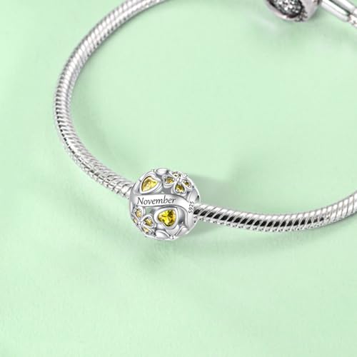 925 Sterling Silver Lucky Clover Birthstone Charms for Bracelets Dangle Pendant with 5A Cubic Zirconia Compatible Pandora Bracelets, Ladies Birthday Gift - style: 11-November