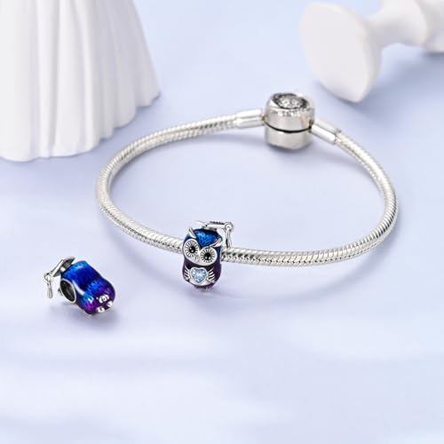 NARMO 925 Sterling Silver Charm Bead for Bracelets Silver Charms for Women - color: Love Owl