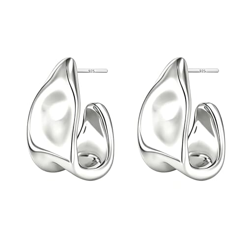 Mult-colors Cubic Zircon Hoop Earrings for Women Lightweight Hypoallergenic Jewelry for Sensitive Ears for Women Large Big Hoop Earrings DTE-GG60S - color: Silver YE02S