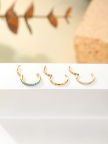Oveta 3PCS 20G Nose Rings Hoop 8mm, Surgical Steel Tragus Helix Conch Piercing Jewelry Higned Segment Clicker Cartilage Hoop Earrings for Women Men, Silver/Gold - color: Gold