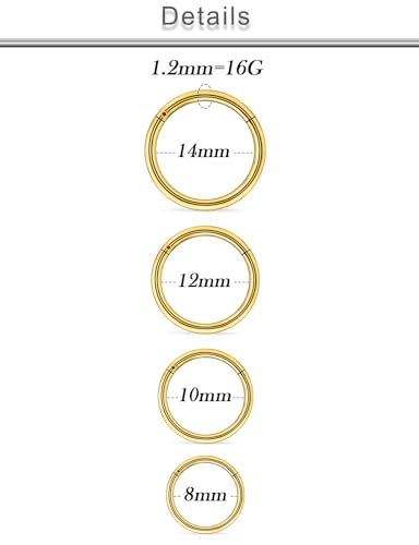 20G 18G 16G 14G 12G 10G Surgical Steel Hinged Clicker Segment Nose Rings Hoop Lip Rings Helix Cartilage Daith Tragus Sleeper Earrings Body Piercing for Women Men 6mm 8mm 10mm 12mm 14mm 16mm - color: Gold-16G（1.2mm)-Inner Diameter: 8mm 10mm 12mm 14mm