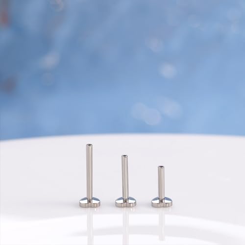 limerencia 16G/18G Hypoallergenic Internal Threaded Titanium Bar Post Replacement,Flat Back Stud Earrings Post Medusa Helix Couch Labret Bar for Women Men Sensitive Ears(A Pair) - color: silver heart, size: 16G-10mm