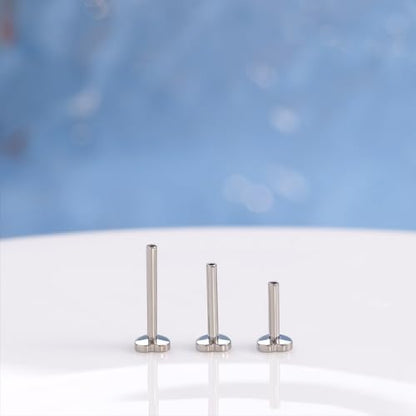 limerencia 16G/18G Hypoallergenic Internal Threaded Titanium Bar Post Replacement,Flat Back Stud Earrings Post Medusa Helix Couch Labret Bar for Women Men Sensitive Ears(A Pair) - color: silver heart, size: 16G-10mm