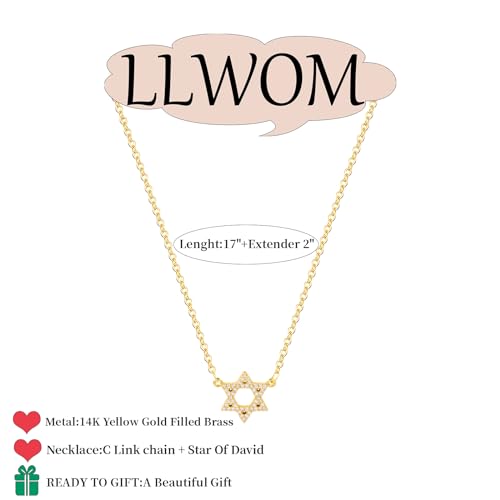 LLWOM Gold Necklace for Women-14k Gold Plated Infinity Necklace Star Of David Necklace Evil Eye Cross Pendants Heart Dainty Gold Necklace For Women - color: Gold-CZ Star Of David