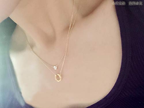 Baydurcan Friendship Anchor Compass Necklace Good Luck Elephant Pendant Chain Necklace with Message Card Gift Card - style: Horseshoe