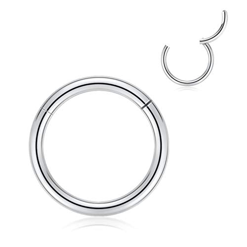 FUNLMO 316L Surgical Steel Hinged Segment Nose Ring Hoop for Nose Septum Cartilage Helix Tragus Conch Rook Daith Lobe Lip Piercings 1 Pc - color: Silver