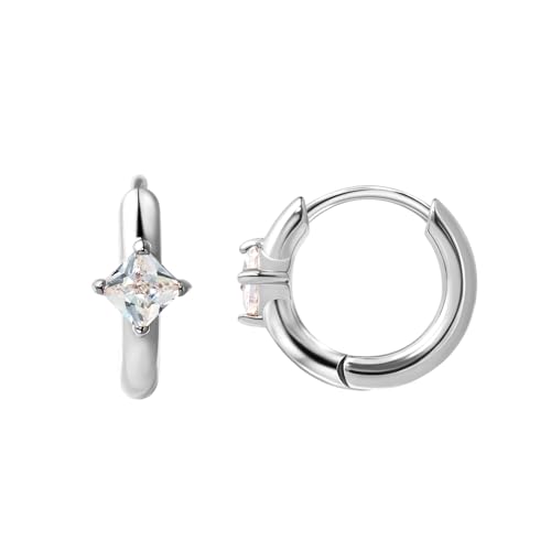 316L Surgical Steel Birthstone Hoop Earrings for Women | Lightweight, 5A Cubic Zirconia, Hypoallergenic, Lead & Nickel Free, 8mm Huggie Hoops - color: Silver: 04. April (Diamond)