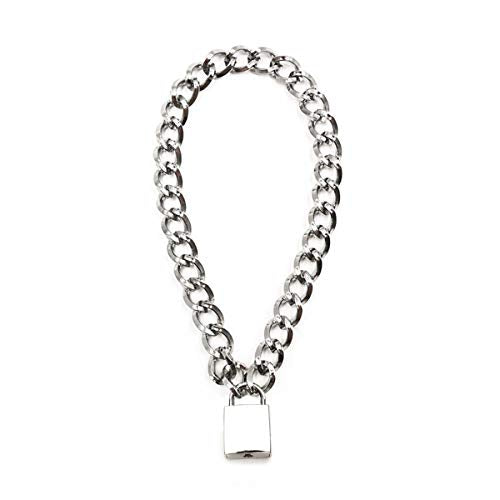 Succuba Padlock Necklace Metal Chain Collar Choker Heart Lock Necklace with Key and Box for Women, Men and Pet (16 to 22 Inches) - color: C