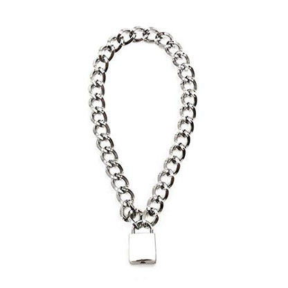 Succuba Padlock Necklace Metal Chain Collar Choker Heart Lock Necklace with Key and Box for Women, Men and Pet (16 to 22 Inches) - color: C