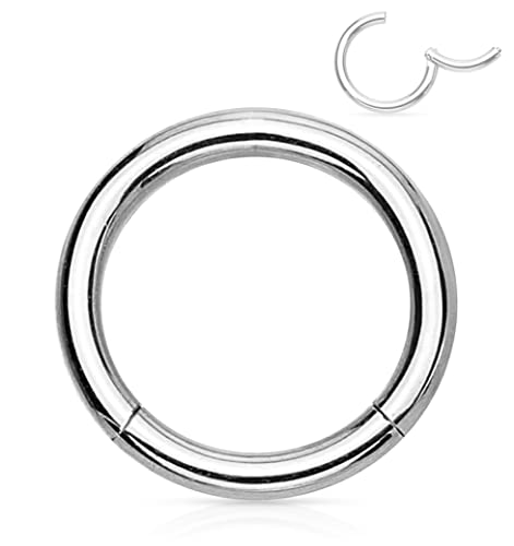 Forbidden Body Jewelry 316L Surgical Steel Hinged Seamless Nose Rings Hoop 14G 16G 18G, Diameter 6mm 8mm 10mm 12mm, Gold/Rose Gold/Silver/Black/Rainbow Colors. - style: 14g 10mm - Silver