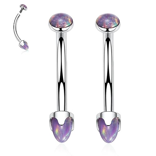 G23 Titanium Eyebrow Piercing Jewelry Eyebrow Rings Curved Barbell 16G Eyebrow Belly Button Ring Navel Rings Rook Daith Earrings Lip Ring Eyebrow Jewelry 6mm-12mm - color: 2PCS,Disc Shape +Cone Shape Purple Opal,Silver