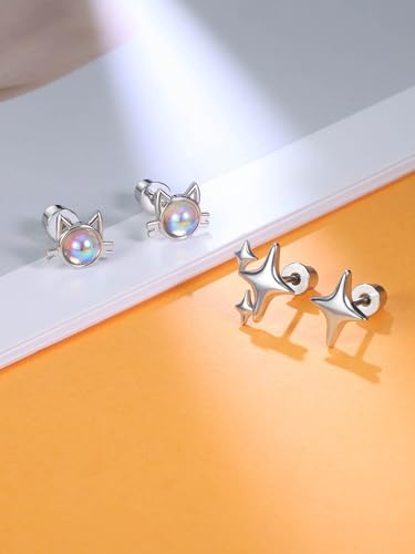 Surgical Stainless Steel Earrings for Girls Women Hypoallergenic Screw Back Earrings for Kids Jewelry Sensitive Ears