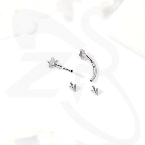 ZS 2 Pairs Stainless Steel Eyebrow Rings, 16G Curved Belly Rings Navel Barbell Helix Daith Tragus Earrings, 8/10mm Spike Vertical Labret Lip Piercing Jewelry - color: Silver,Star-L:8/10mm