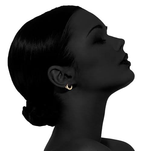 Spiral Hoop Twist Double Earrings - 14K Helix Spiral Earrings, Double Piercing Earrings, Faux Double Hoop Earrings, Tiny Twist Earrings for Women - color: Zircon Gold