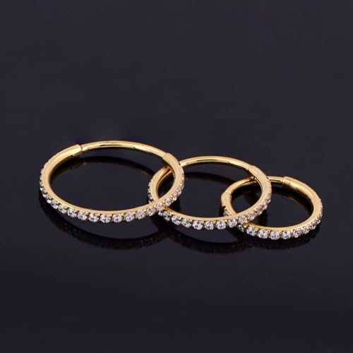 OUFER Gold Hinged Segment Earring Hoop 16G Stainless Steel with Cartilage Earrings Clear CZ Paved Tragus Helix Earrings Cartilage Earring Septum Nose Ring Hoop - color: Gold,18g,11mm