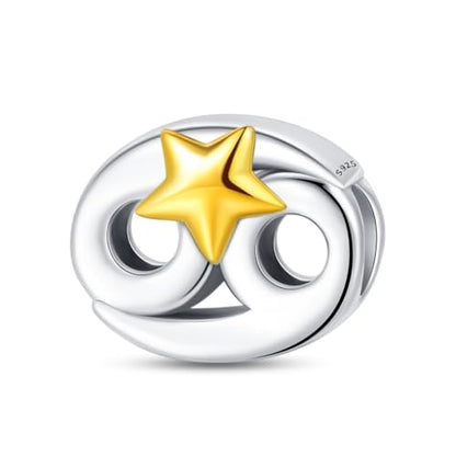 925 Sterling Silver 12 Astrological Signs Charm for Bracelets and Necklace Happy Birthday Charms for Bracelet and Necklace Valentine's Day Mother's Day Gift - style: Cancer Charm