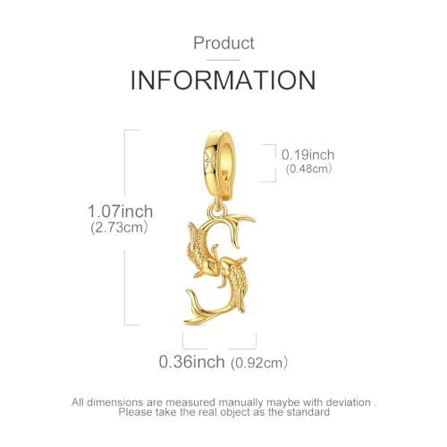 LAZA 925 Silver Charms for Bracelets and Necklaces Gold charms for Women | Summer Travel Party Lucky Zodiac Charms Clearance Pendant Beads Christmas Birthday Graduation Gift Jewelry for Women - color: Pisces