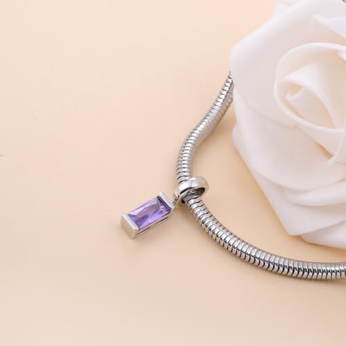 Helonley Birthstone Charms for Charms Bracelet: Birth Stone Charms | 925 Sterling Silver Birth Stone Bead Charms for Bracelets and Necklaces, Christmas Birthday Gifts for Mom and Wife - color: Feb.