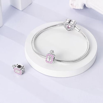 NARMO 925 Sterling Silver Charm Bead for Bracelets Silver Charms for Women - color: Perfume