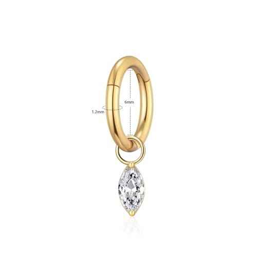 Ourania 16G Gold Stainless Steel Zircon Dangle Huggie Hoop Rook Piercing Helix Hoop Earring Tragus Hoop Cartilage Piercing for Women - color: Eyes Gold 2PCS, size: 1.2*6mm 2pcs