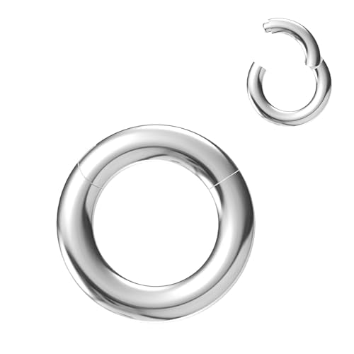 4G/6G/8G/10G/12G/14G/16G/18G/20G Hypoallergenic Nose Hoop Rings Steel Hinged Clicker Segment Gold/Rose Gold/Black/Pink Color - style: 1pc: 8g×12mm Silver-tone