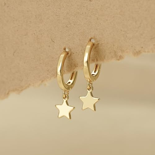 Earrings for Women 14K Gold Plated Huggie Hoop Dangle | Charm Drop,Dainty,Small,Simple,Lightweight,Hypoallergenic,Trendy,Everyday Jewelry,Gift - color: 01. Star
