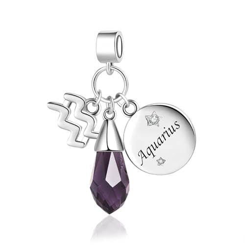LSxAB Birthday Birthstone Zodiac Sign Charm Compatible with Pandora Charms Bracelets for Women - style: 02 Aqurius