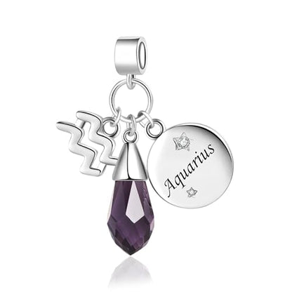 LSxAB Birthday Birthstone Zodiac Sign Charm Compatible with Pandora Charms Bracelets for Women - style: 02 Aqurius