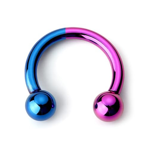 BodyBonita Anodized Septum Rings, G23 Titanium Nose Ring Horseshoe, Large PA Ring 6G 8G 12G, Internally Threaded Circular Barbell Stretched Gauges for Ears, CBR Body Piercing Jewelry for Women Men - color: Anodized Purple&Blue, size: 12G(2mm)-10mm
