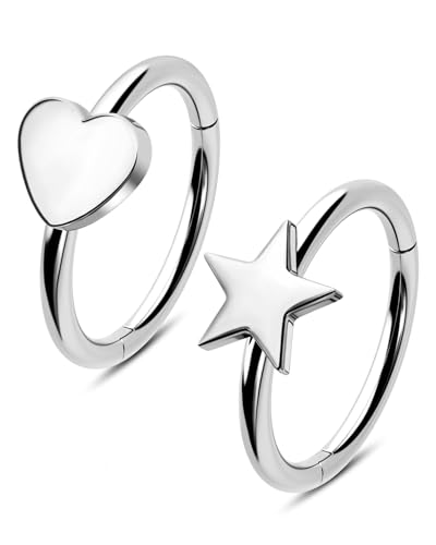 20g Nose Rings Hoops 316L Surgical Stainless Steel Nose Piercing Jewelry Helix Tragus Conch Rook Earrings Hinged Segment Lip Ring for Women Men