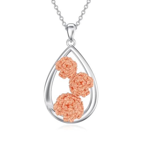 12 Month Birth Flower Necklace for Women 925 Sterling Silver Floral Teardrop Pendant Birthday Jewelry Gifts - color: 01. January Carnation