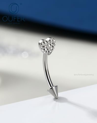OUFER Rook Piercing Jewelry, G23 Solid Titanium Eyebrow Rings, Heart Vertical Labret Lip Jewelry, 16G Curved Barbells, Daith Rook Earrings for Women Men - color: Stainless Steel Heart, size: 16G 8mm