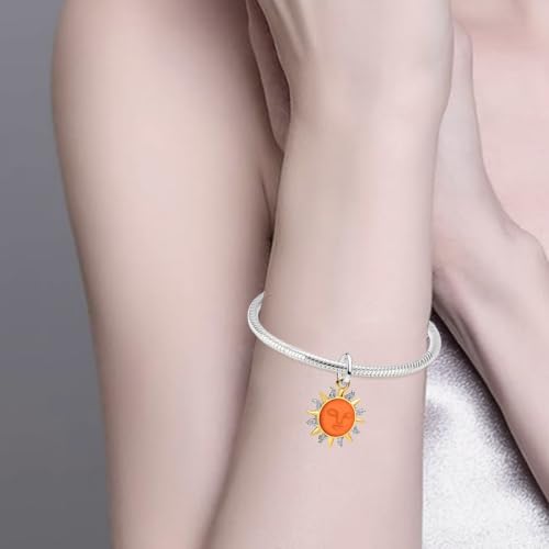 Charms Beads 925 Sterling Silver Animal Heart Flower Friend Dangle Pendant with 5A Cubic fits for Charms Bracelets for Woman Valentine's Day Mother's Day Christmas Graduation Birthday Gift - style: Sun