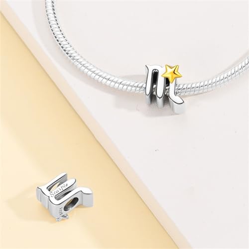 925 Sterling Silver 12 Astrological Signs Charm for Bracelets and Necklace Happy Birthday Charms for Bracelet and Necklace Valentine's Day Mother's Day Gift - style: Scorpio Charm