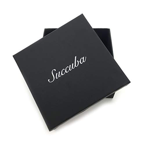 Succuba Padlock Necklace Metal Chain Collar Choker Heart Lock Necklace with Key and Box for Women, Men and Pet (16 to 22 Inches) - color: J
