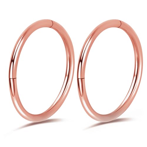 2Pcs Titanium Nose Rings 20G 18G 16G 14G Nose Rings Hoops Diameter 5mm to 12mm Silver-Gold-Rose Gold-Black Cartilage Helix Tragus Daith Rook Hoop Earrings Hinged Segment Septum Clicker Body Piercing Jewelry - color: Rose Gold