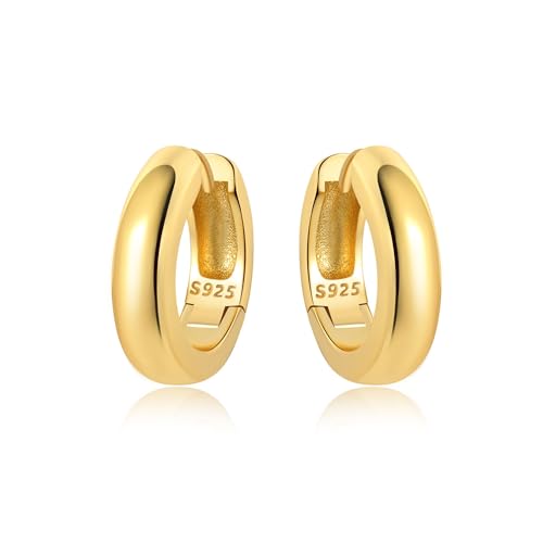 Sterling Silver 18K Gold Plated Women's Earrings Hypoallergenic Hoops, Dainty Trendy Jewelry Gift - color: Golden | Textured Versatile Basic Earrings